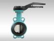 Clip type valve